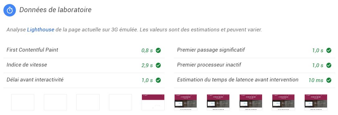 données de laboratoire page speed insight